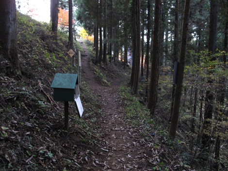 20161117hike (308)